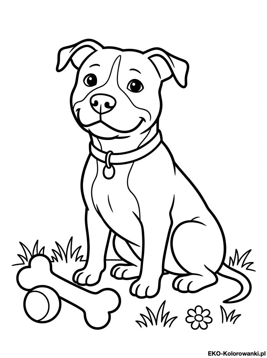 Kolorowanka - Amstaff z obroza obok pilki i kosci