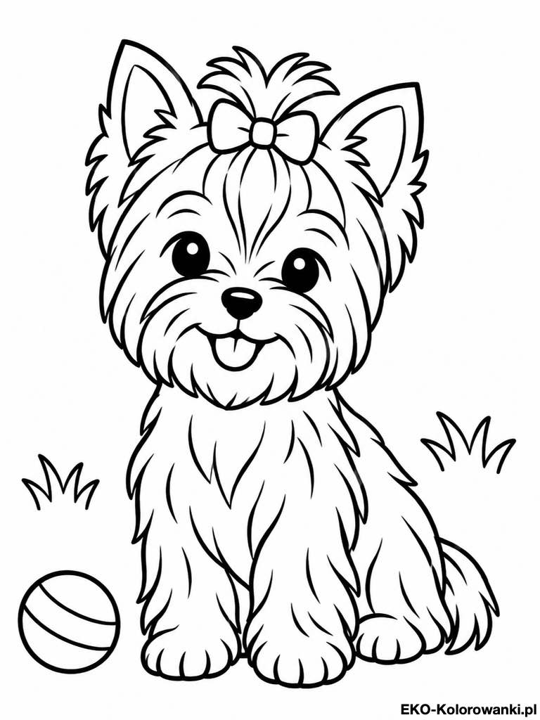 Kolorowanka - Yorkshire terrier z kokardka i pilka